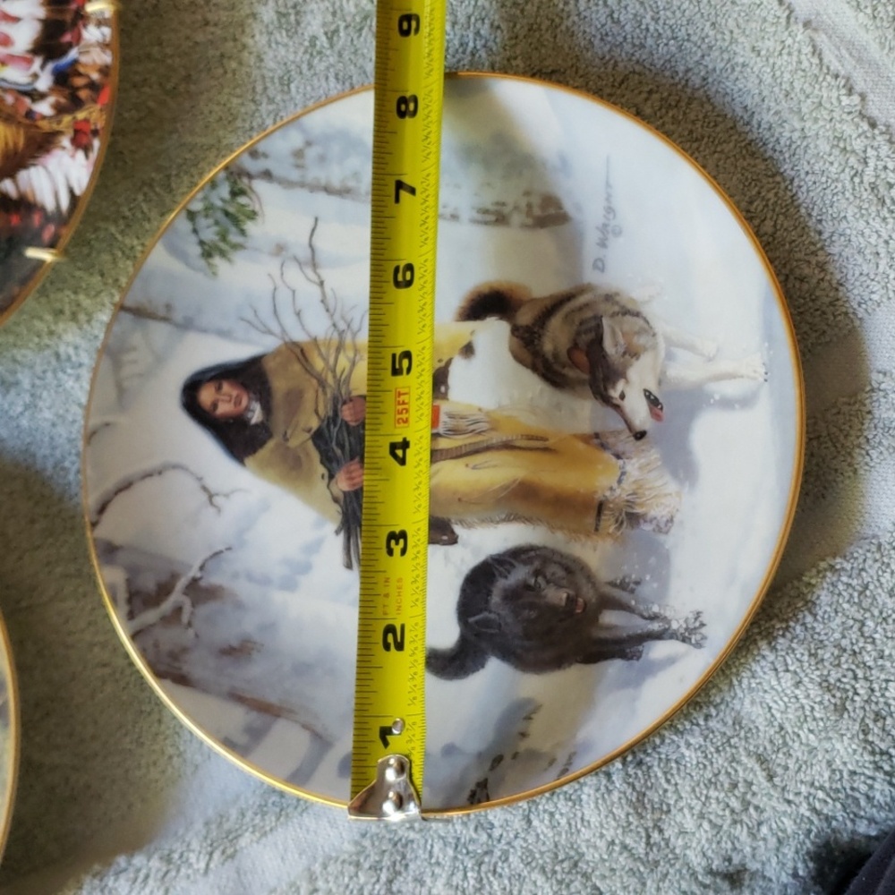 INDIAN LIMITED EDITION ART 5 - Picture 17 of 17